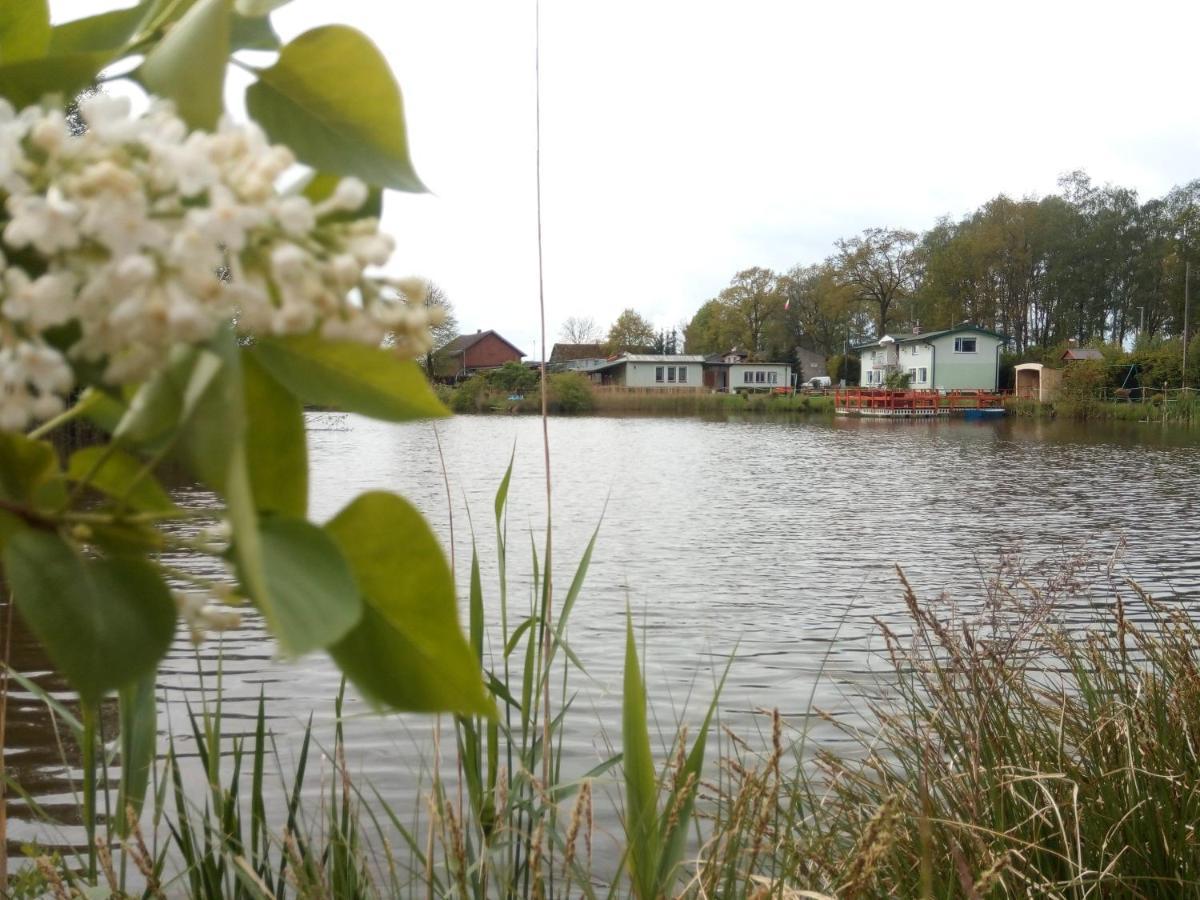 Agroturystyka Nad Morzem Zieleniewo  Екстериор снимка